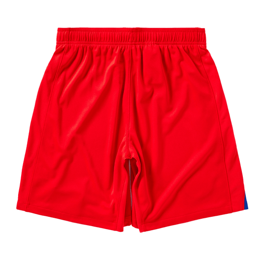 PSG Third Away Shorts 2025/26