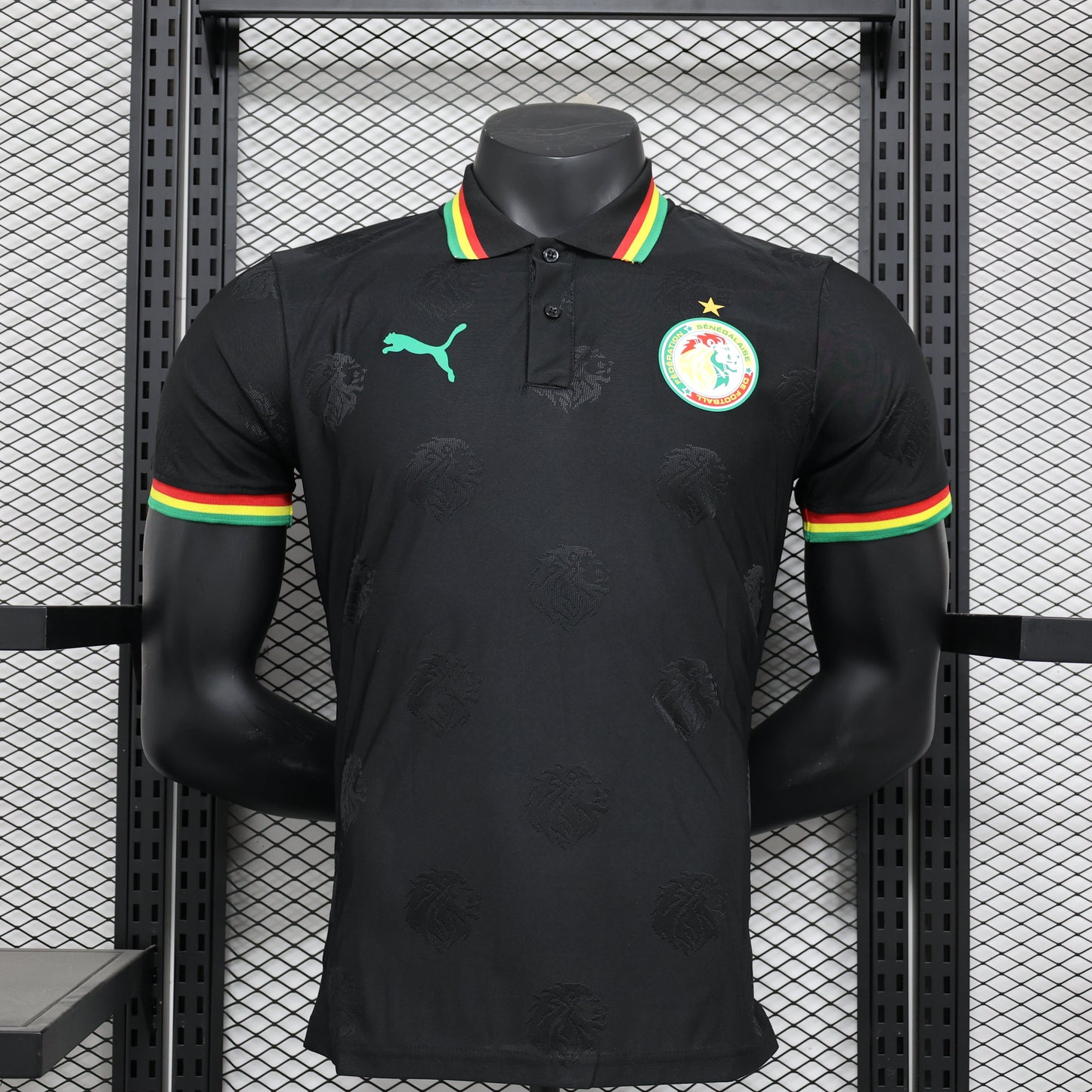 Maillot PLAYER 24/25 Sénégal Spécial
